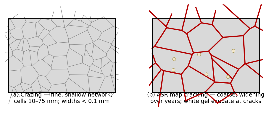 Map-pattern cracking comparison: benign surface crazing versus progressive alkali-silica reaction